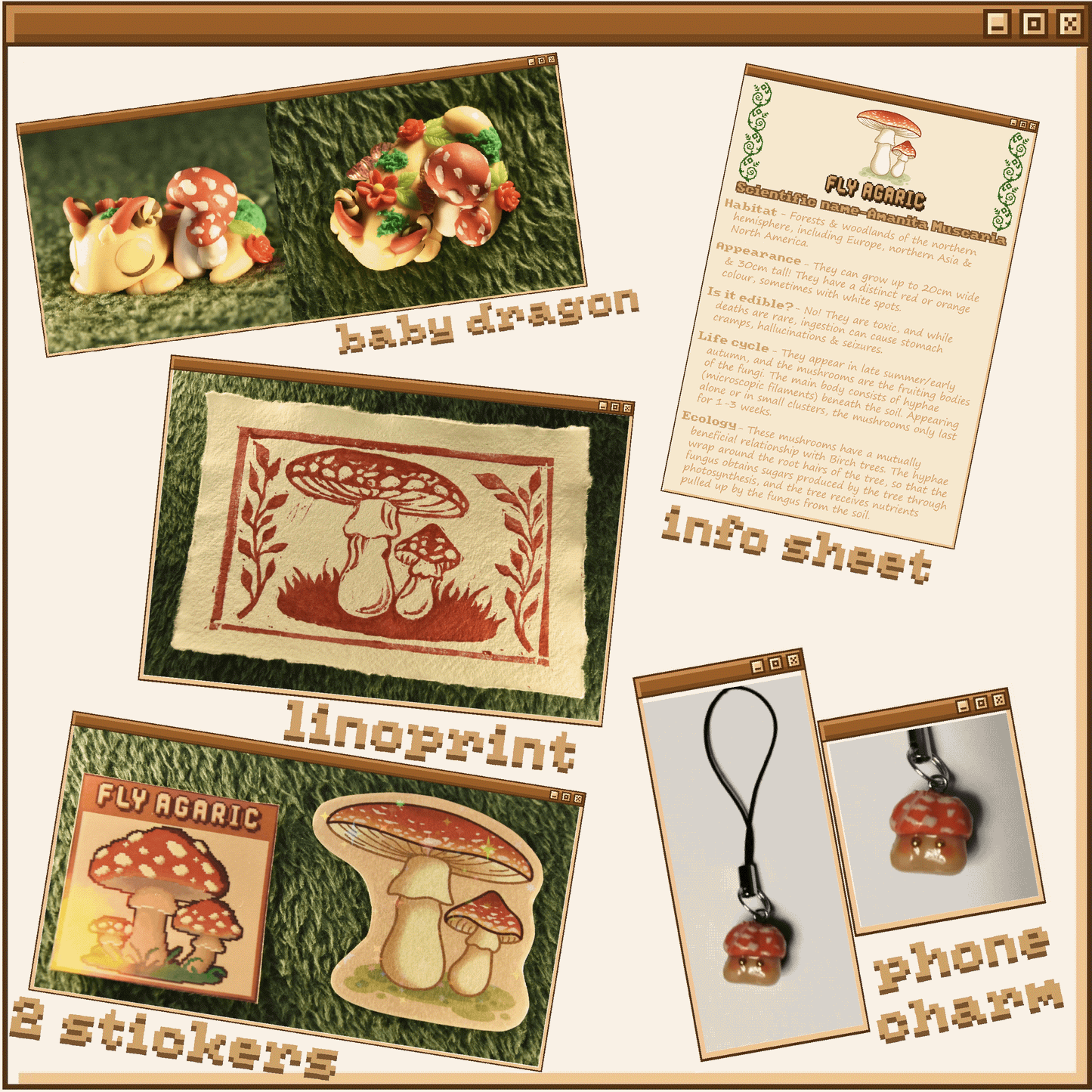 Mushroom Hatchling Series