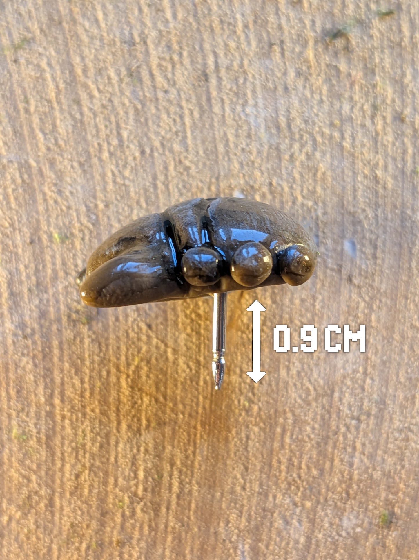 Stag beetle pin badge