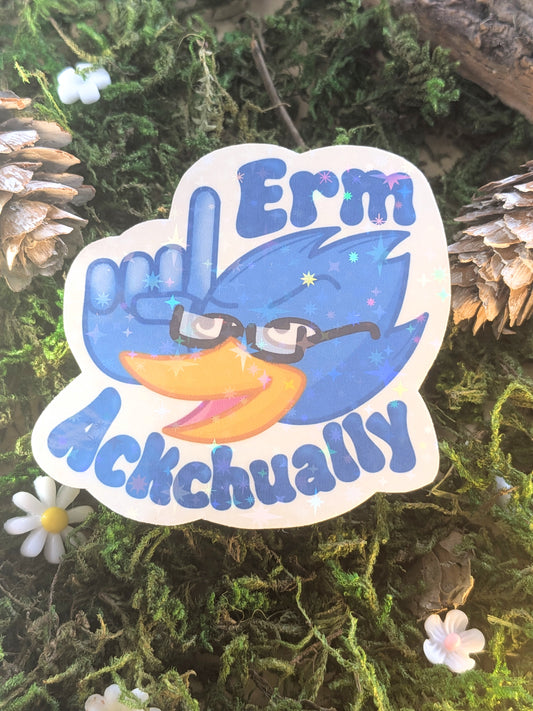 Erm Ackchually holo sticker