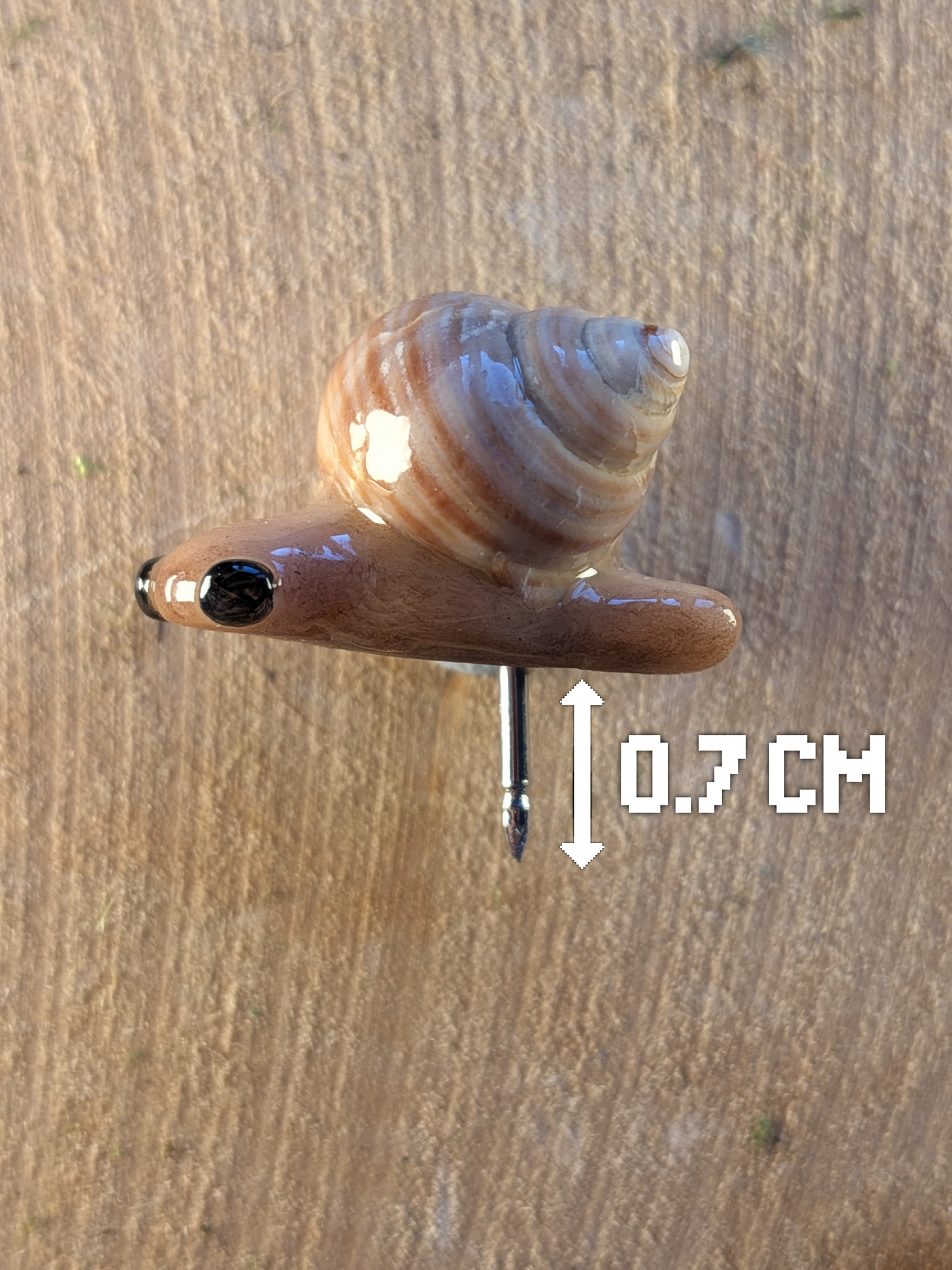 Snail pin badge